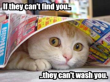if-they-cant-find-you-they-cant-wash-you1